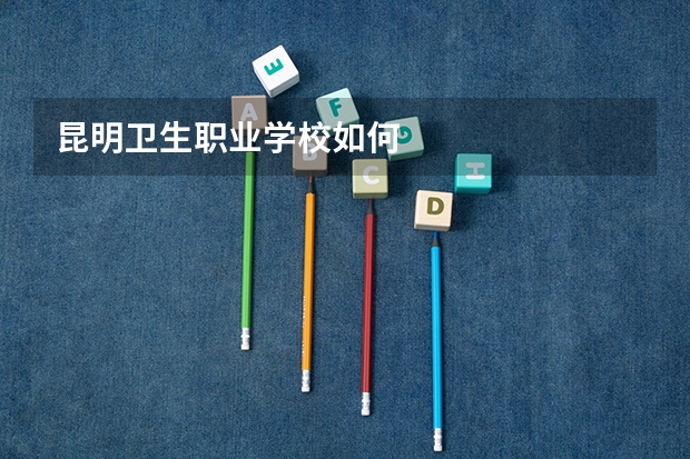 昆明卫生职业学校如何