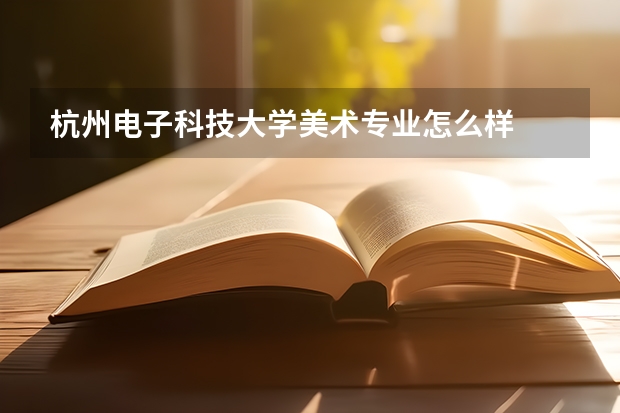 杭州电子科技大学美术专业怎么样